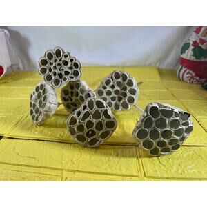 Vintage Lotus Seed Pod Floral Picks Christmas Holiday White Silver Set